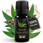 Aromaholik esenicální olej Eukalypt 10 ml – Hledejceny.cz