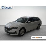 Skoda Octavia TDI Selection DSG 110 kW – Hledejceny.cz