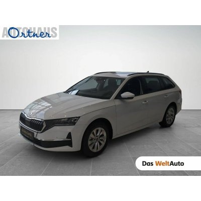 Skoda Octavia TDI Selection DSG 110 kW – Hledejceny.cz