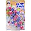 Dezinfekční prostředek na WC Blue Star Blau Aktiv WC blok Crisp Flurry 4 x 50 g