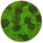 Mechový obraz - Kruh - Kopp Velikost rámu: 60cm – Hledejceny.cz