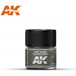 AK Real Colors RAF Dark Slate Grey 10 ml. – Zboží Dáma