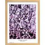 Tradag Rámeček Natura přírodní 40x50 – Zbozi.Blesk.cz