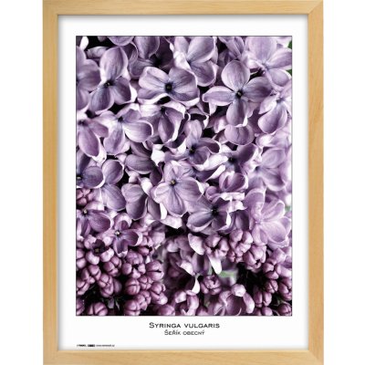 Tradag Rámeček Natura přírodní 40x50 – Zbozi.Blesk.cz