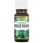 Saloos Vonná esence veselé Vánoce 10 ml – Hledejceny.cz