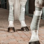 EQUINE Cirkulační bandáže INCREDIWEAR Černá – Zboží Dáma