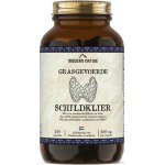 Modern Native Grass-fed hovězí štítná žláza 180 kapslí – Hledejceny.cz