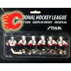 Příslušenství ke společenským hrám Stiga Náhradní tým Calgary Flames