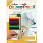 Royal Langnickel Malování podle čísel pastelkami Lední medvěd – Hledejceny.cz