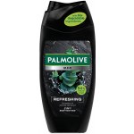 Palmolive Men Pure Arctic sprchový gel 250 ml – Zboží Dáma