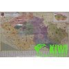 Nástěnné mapy Vejmolová Zdeňka distribuce nástěnná mapa Česká republika PSČ 135x90 cm, lamino, lišta