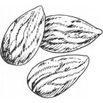 Alteya Mandlový olej 100% Bio 100 ml – Sleviste.cz