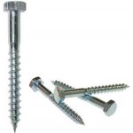 DIN 571 - Vrut do dřeva pr. 10 x 80 mm, částečný závit, šestihranná hlava 17 mm, Zinek bílý, (100ks) – Zboží Mobilmania