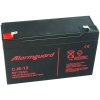 Olověná baterie Alarmguard 6V 12Ah 180A