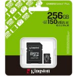 Kingston 256GB microSDXC Canvas Plus SDCS3/256GB – Zboží Živě
