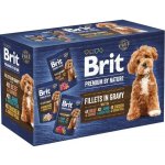 Brit Premium by Nature Adult Dog Fillets in Gravy Multipack 12 x 85 g – Hledejceny.cz