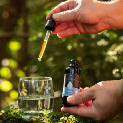 Lion´s mane tinktura Hrotlife 50 ml – Hledejceny.cz