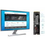 Samsung 960 EVO NVMe M.2 250 GB, MZ-V6E250BW – Zboží Živě