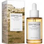 SKIN1004 Madagascar Centella Ampoule s pupečníkem asijským 55 ml – Zboží Mobilmania