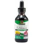 Nature´s answer Echinacea Třapatka 30 ml – Hledejceny.cz