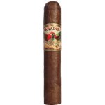 Ashton Cigars Paradiso Clásico 1 ks – Hledejceny.cz