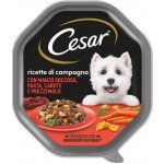 Cesar Adult s těstovinami hovězím masem a mrkví 150 g – Zbozi.Blesk.cz