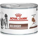 Royal Canin Veterinary Diet Cat & Dog Recovery 195 g – Sleviste.cz