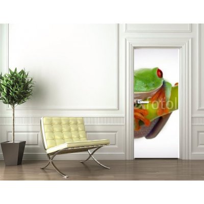 WEBLUX 19746913 Samolepka na dveře fólie Bamboo Frog Bambusová žába rozměry 90 x 220 cm – Zbozi.Blesk.cz