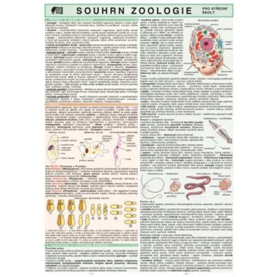 Souhrn zoologie pro střední školy