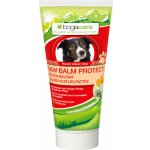 Bogar bogacare Balzám na tlapky pes 50 ml – Zbozi.Blesk.cz