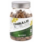 4fitness Tribulus terrestris 300 kapslí – Zboží Dáma