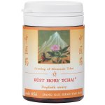 TCM Herbs Růst hory Tchaj 100 tablet – Hledejceny.cz