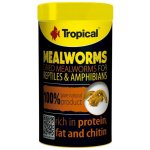 Tropical Meal Worms 100 ml – Zboží Mobilmania