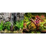 Macenauer fototapeta 9L 100 x 50 cm – Zboží Dáma