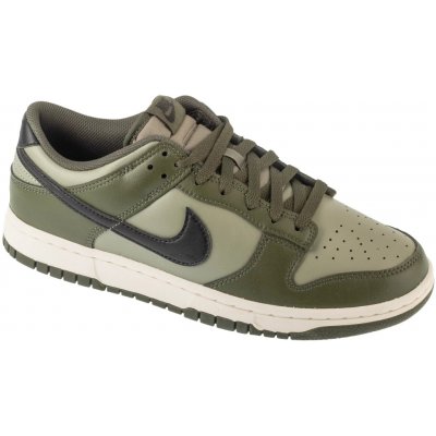 Nike Dunk Low Retro Sneaker hf5441-300 – Zboží Dáma
