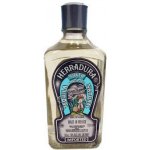 Herradura Blanco 40% 0,7 l (holá láhev) – Zboží Dáma