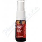 Biomedica Ježíšková vůně Vánoční aroma 10 ml – Hledejceny.cz