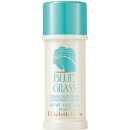 Deodorant Elizabeth Arden Blue Grass Cream deostick Woman 40 ml