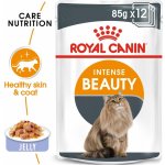 Royal Canin Hair & Skin Care v želé 12 x 85 g – Hledejceny.cz