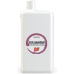 Star Čistič a odmaštovač silně znečištěných povrchů 1 l – Zbozi.Blesk.cz