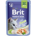 Brit Premium Cat Kitten Delicate Fillets Chicken 85 g – Sleviste.cz