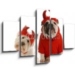 Obraz pětidílný 5D - 150 x 100 cm - two devils - bulldog and west highland white terrier dva ďábli – Hledejceny.cz