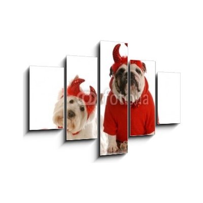 Obraz pětidílný 5D - 150 x 100 cm - two devils - bulldog and west highland white terrier dva ďábli – Hledejceny.cz