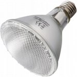 Repti Zoo Halogen Basking Spot 50 W – HobbyKompas.cz