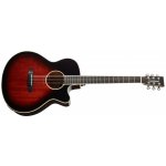 TANGLEWOOD TW4 E – Sleviste.cz