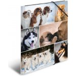 Deska s gumičkou A3 karton - psi 448376 – Zboží Živě