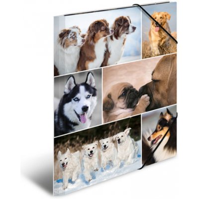 Deska s gumičkou A3 karton - psi 448376 – Zboží Živě