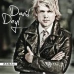 Zásah,, 2011 - David Deyl CD – Hledejceny.cz