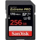 paměťová karta SanDisk SDXC UHS-I 256 GB SDSDXXY-256G-GN4IN