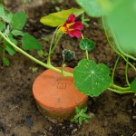 Tuselie Zavlažovací nádoba olla záhonová velikost L objem 5 l – Sleviste.cz